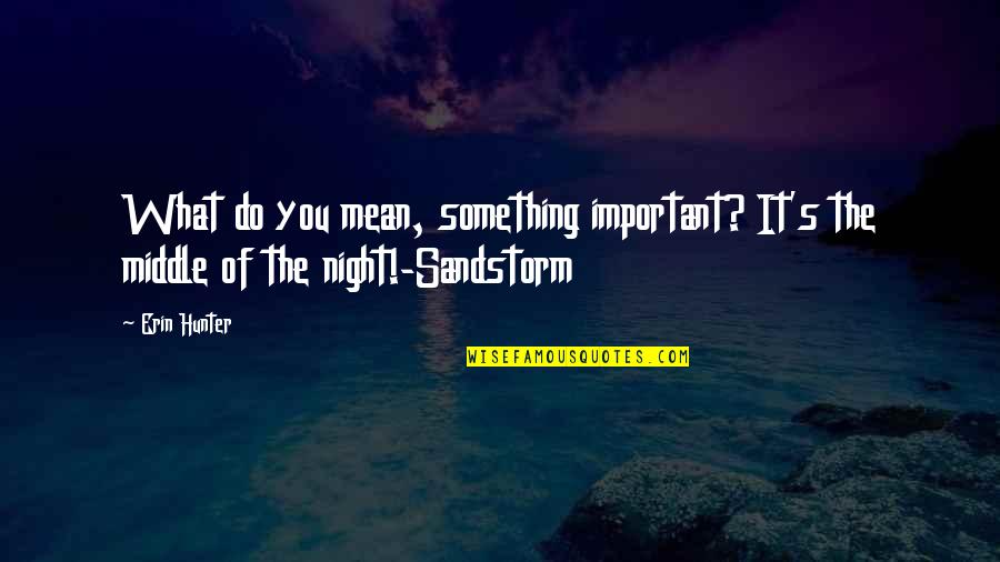 Do Something Important Quotes By Erin Hunter: What do you mean, something important? It's the