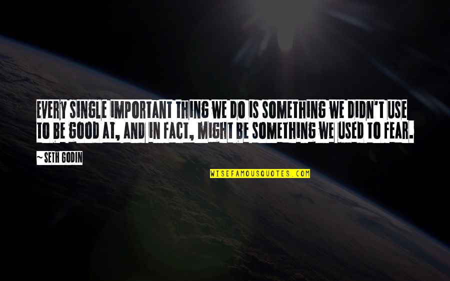 Do Something Important Quotes By Seth Godin: Every single important thing we do is something