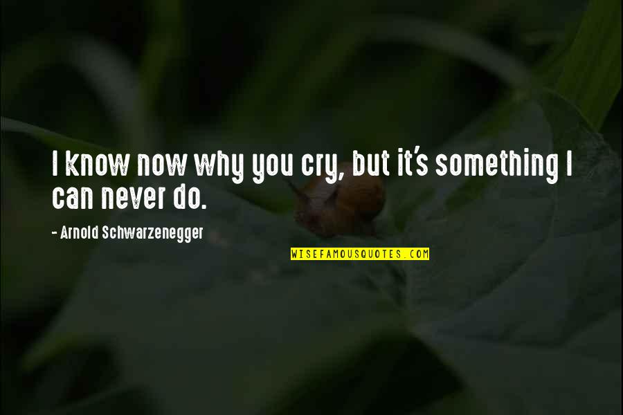 Do Something Now Quotes By Arnold Schwarzenegger: I know now why you cry, but it's
