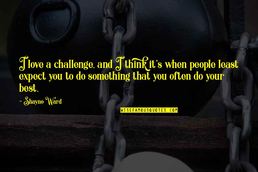 Do Something That You Love Quotes By Shayne Ward: I love a challenge, and I think it's