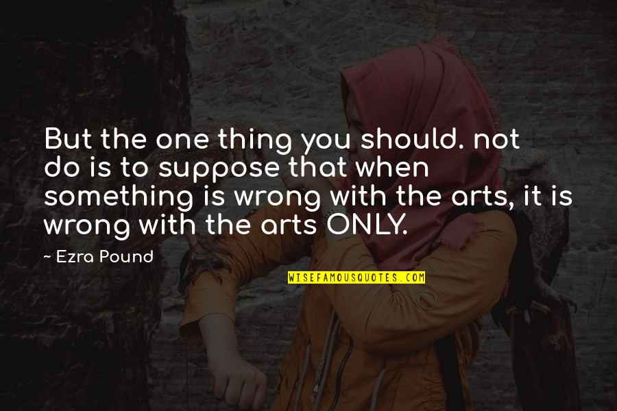 Do Something Wrong Quotes By Ezra Pound: But the one thing you should. not do