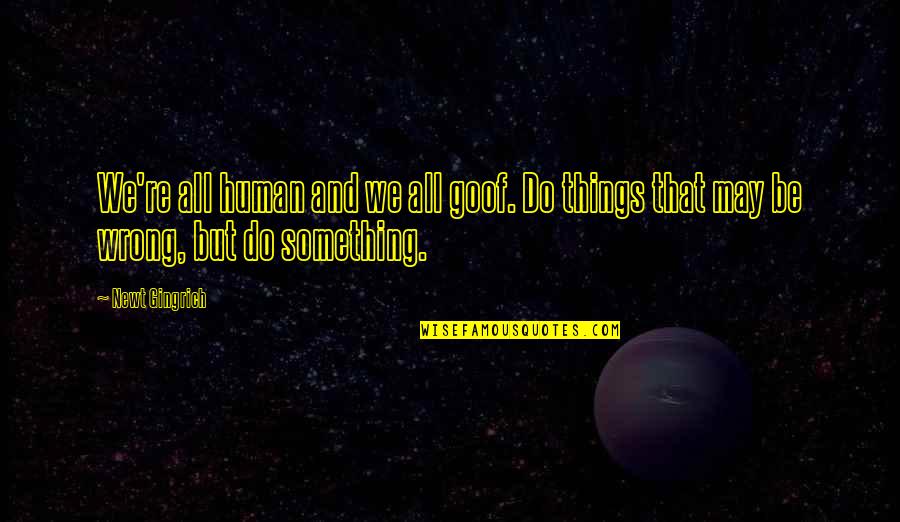 Do Something Wrong Quotes By Newt Gingrich: We're all human and we all goof. Do