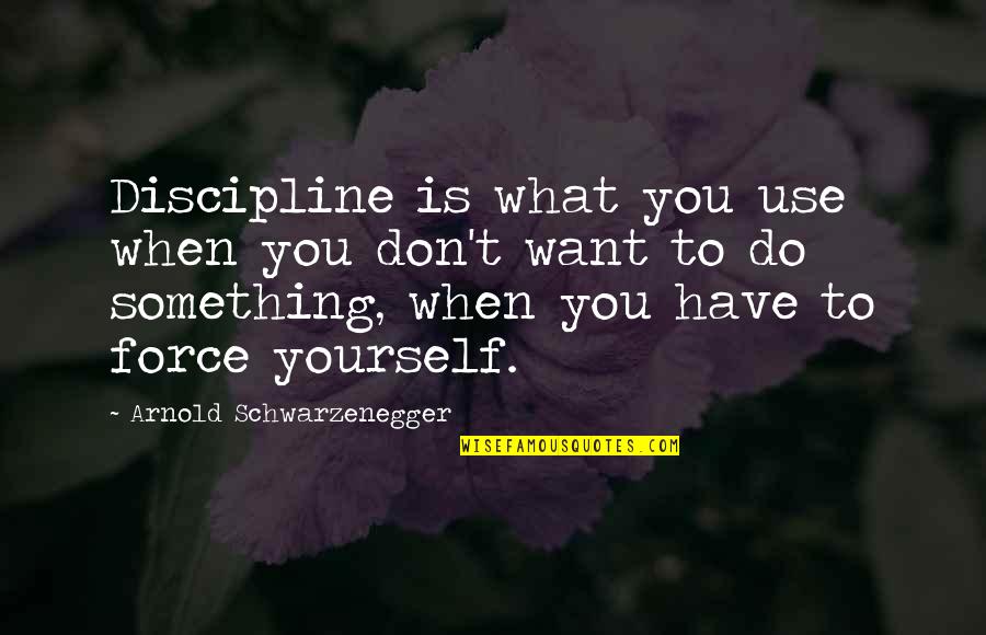 Do Something Yourself Quotes By Arnold Schwarzenegger: Discipline is what you use when you don't