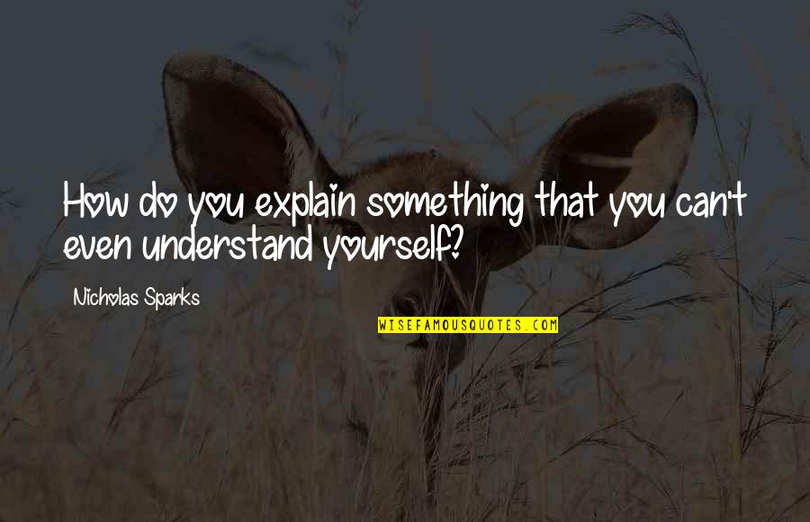 Do Something Yourself Quotes By Nicholas Sparks: How do you explain something that you can't