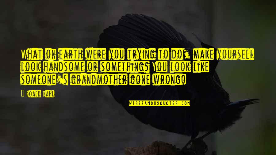 Do Something Yourself Quotes By Roald Dahl: What on earth were you trying to do,