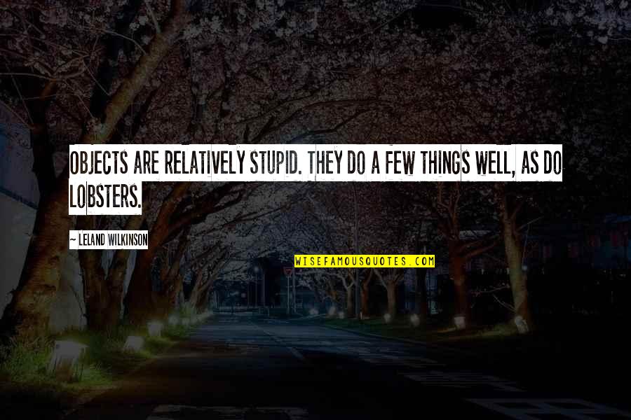 Do Stupid Things Quotes By Leland Wilkinson: Objects are relatively stupid. They do a few