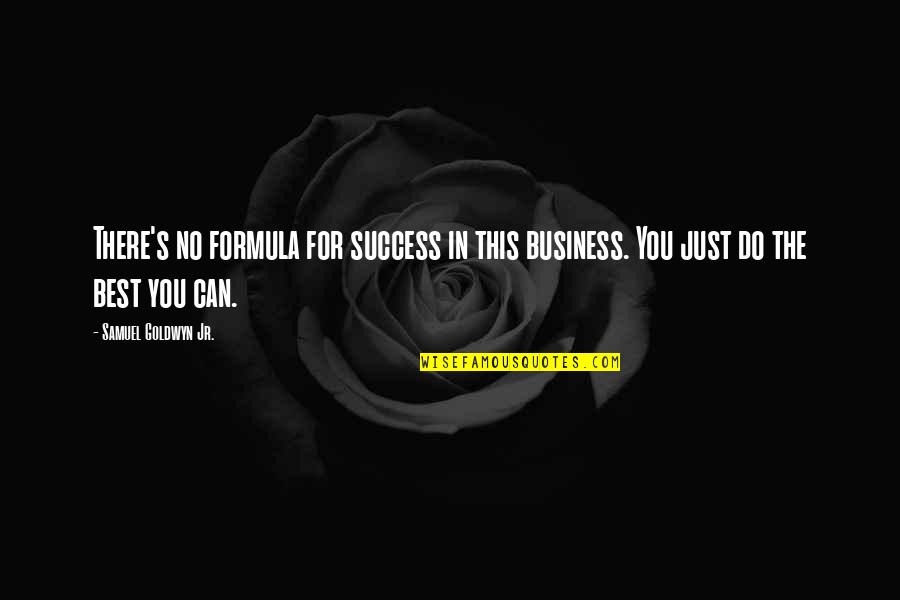Do The Best You Can Quotes By Samuel Goldwyn Jr.: There's no formula for success in this business.