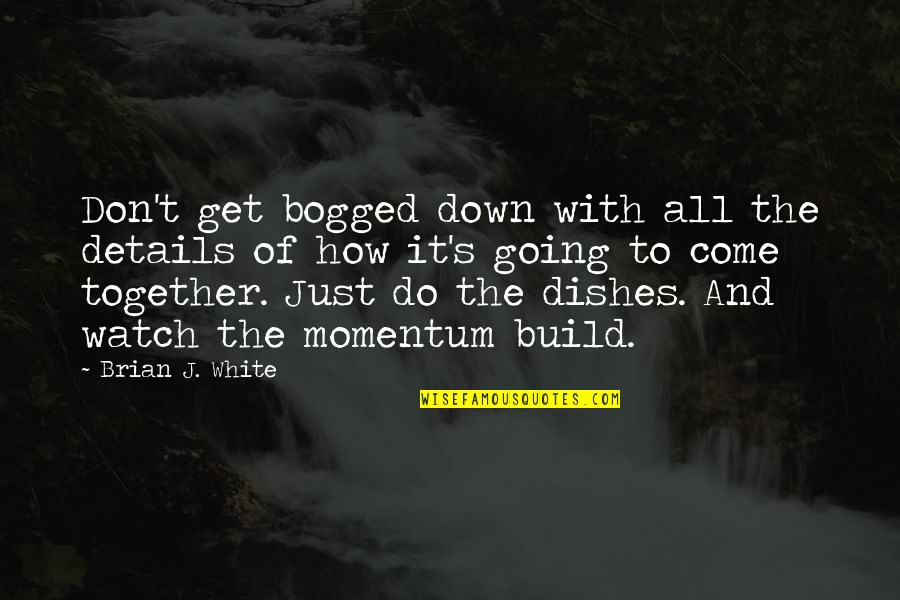 Do The Dishes Quotes By Brian J. White: Don't get bogged down with all the details Do The Dishes Quotes By Brian J. White: Don't get bogged down with all the details