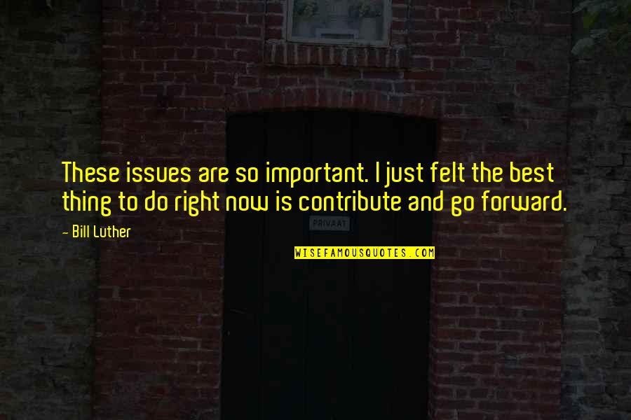 Do The Right Thing Quotes By Bill Luther: These issues are so important. I just felt