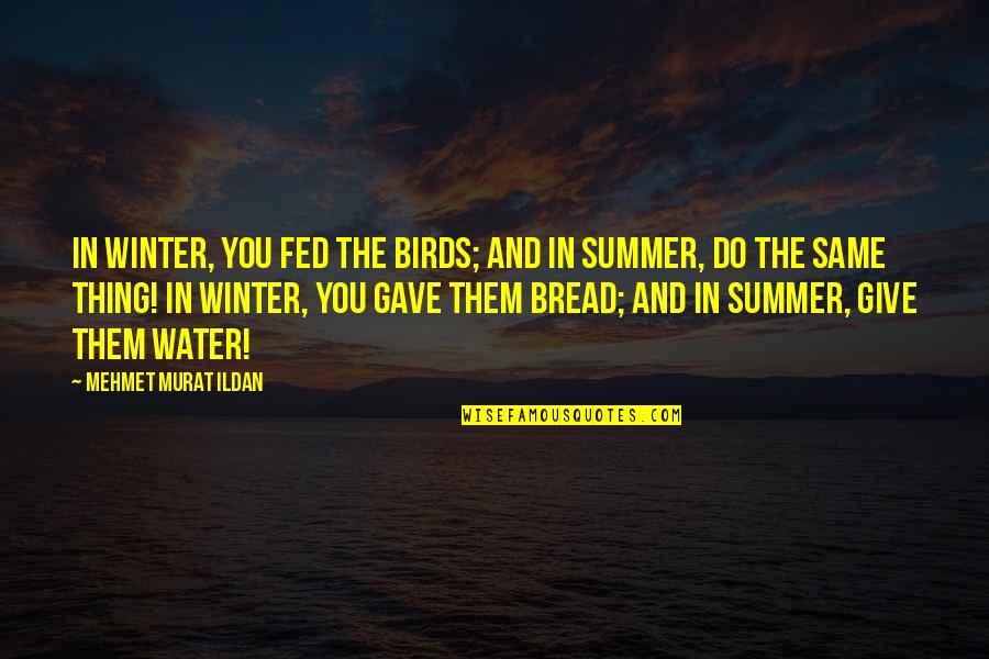 Do The Same Thing Quotes By Mehmet Murat Ildan: In winter, you fed the birds; and in