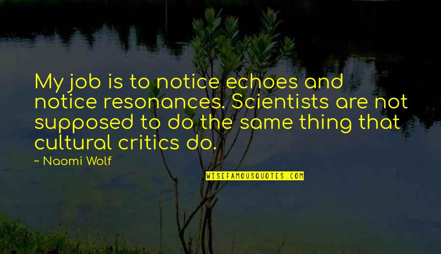 Do The Same Thing Quotes By Naomi Wolf: My job is to notice echoes and notice