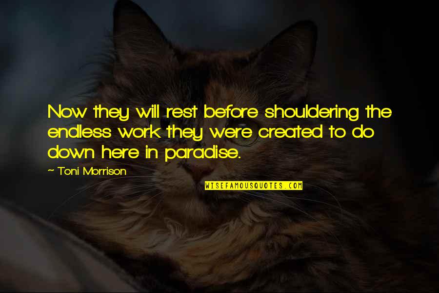 Do The Work Now Quotes By Toni Morrison: Now they will rest before shouldering the endless