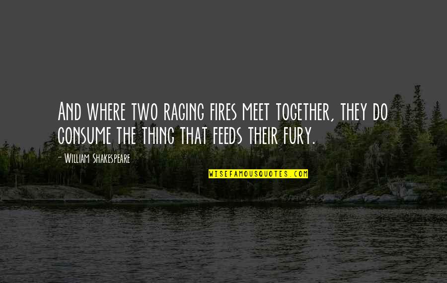 Do Together Quotes By William Shakespeare: And where two raging fires meet together, they Do Together Quotes By William Shakespeare: And where two raging fires meet together, they