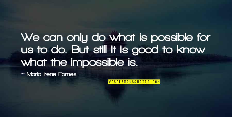 Do What Is Good Quotes By Maria Irene Fornes: We can only do what is possible for