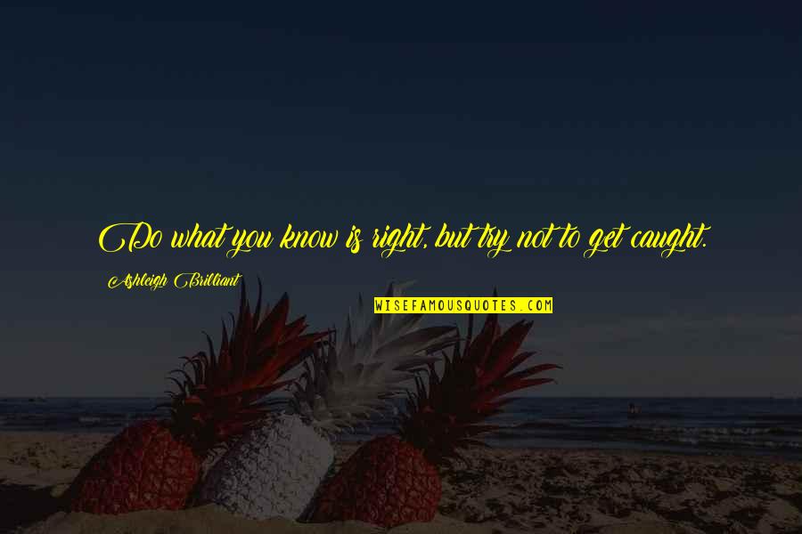Do What Is Right Quotes By Ashleigh Brilliant: Do what you know is right, but try