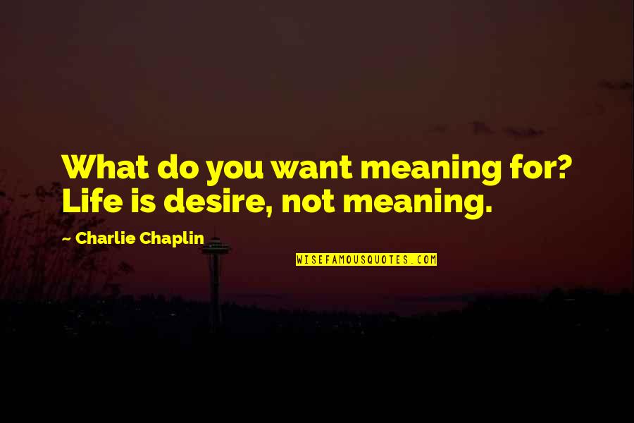 Do What You Desire Quotes By Charlie Chaplin: What do you want meaning for? Life is