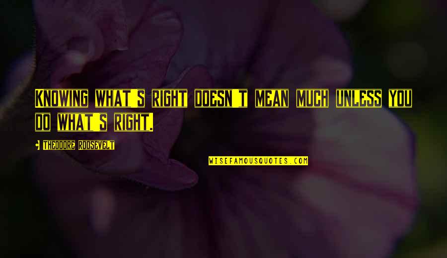 Do What You Mean Quotes By Theodore Roosevelt: Knowing what's right doesn't mean much unless you