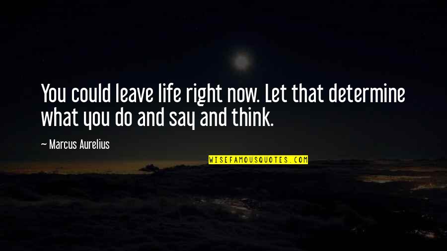 Do What You Think Is Right Quotes By Marcus Aurelius: You could leave life right now. Let that