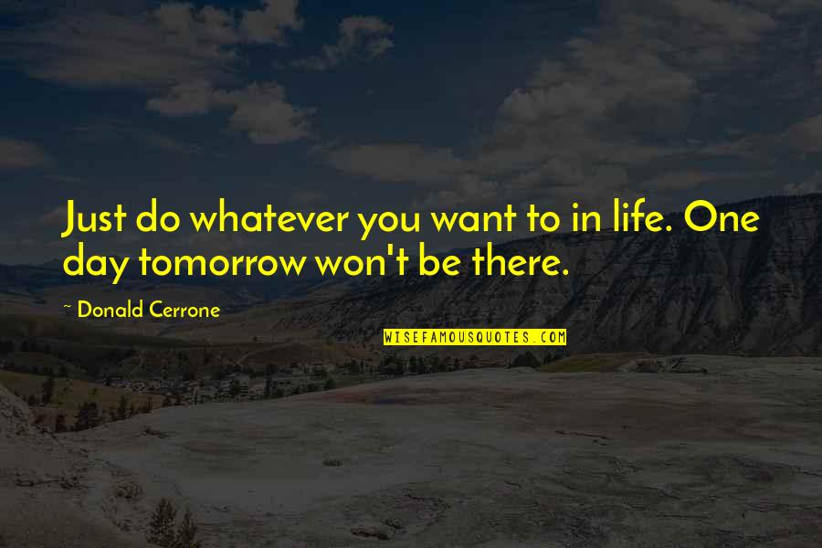 Do Whatever You Want Quotes By Donald Cerrone: Just do whatever you want to in life.