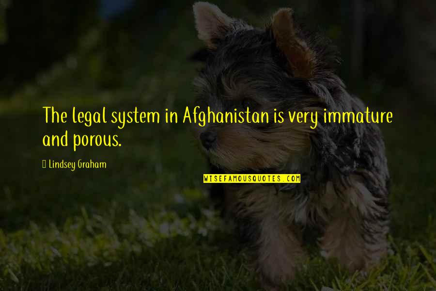 Do You Know How Amazing You Are Quotes By Lindsey Graham: The legal system in Afghanistan is very immature