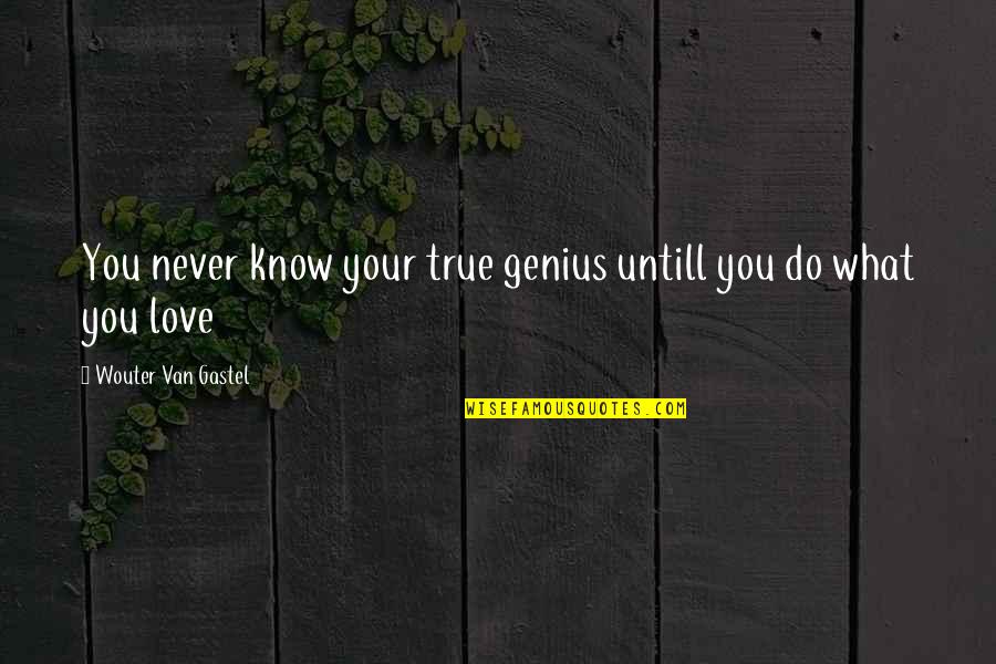 Do You Know Love Quotes By Wouter Van Gastel: You never know your true genius untill you