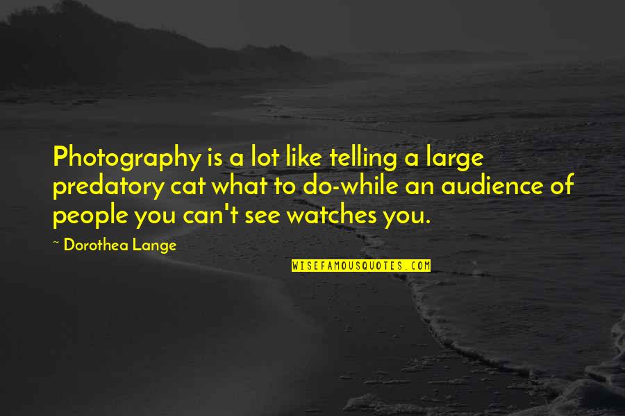 Do You Like What You See Quotes By Dorothea Lange: Photography is a lot like telling a large