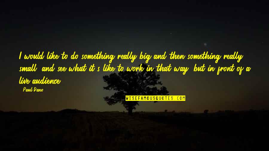 Do You Like What You See Quotes By Paul Dano: I would like to do something really big