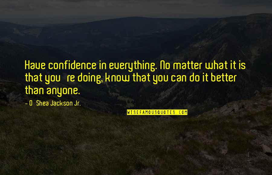 Do You No Matter What Quotes By O'Shea Jackson Jr.: Have confidence in everything. No matter what it