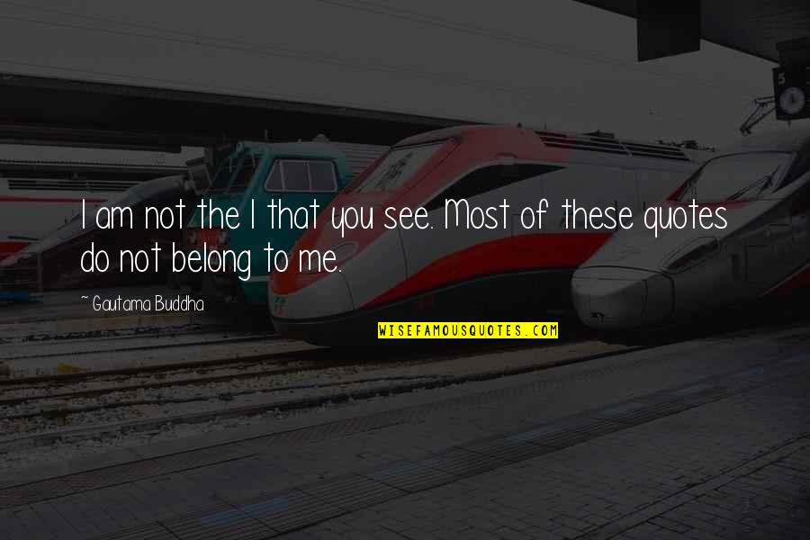 Do You See Quotes By Gautama Buddha: I am not the I that you see.