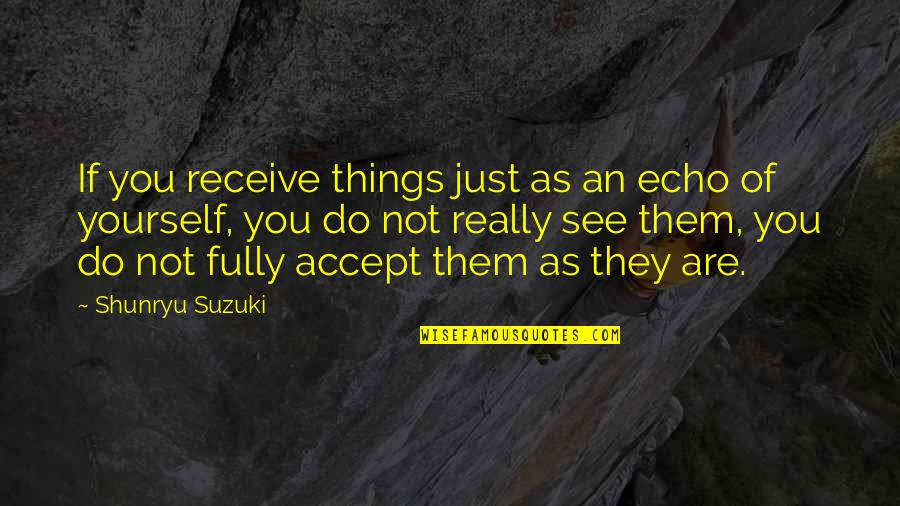 Do You See Quotes By Shunryu Suzuki: If you receive things just as an echo Do You See Quotes By Shunryu Suzuki: If you receive things just as an echo