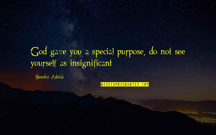 Do You See Quotes By Sunday Adelaja: God gave you a special purpose, do not Do You See Quotes By Sunday Adelaja: God gave you a special purpose, do not