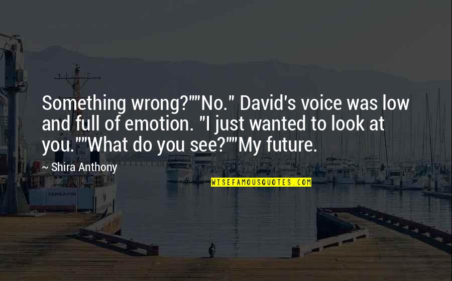Do You See What I See Quotes By Shira Anthony: Something wrong?""No." David's voice was low and full