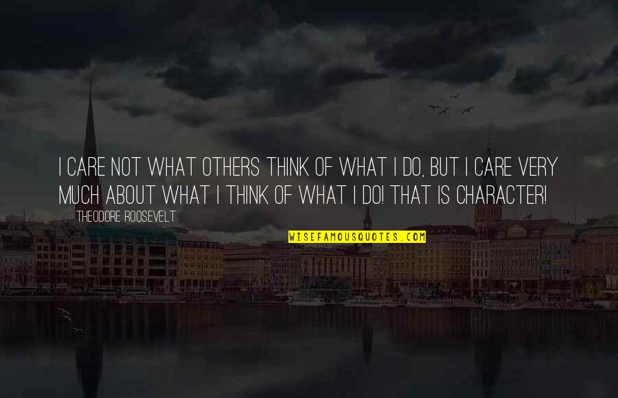 Do You Think I Care Quotes By Theodore Roosevelt: I care not what others think of what