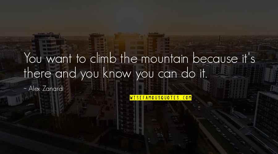 Do You Want It Quotes By Alex Zanardi: You want to climb the mountain because it's