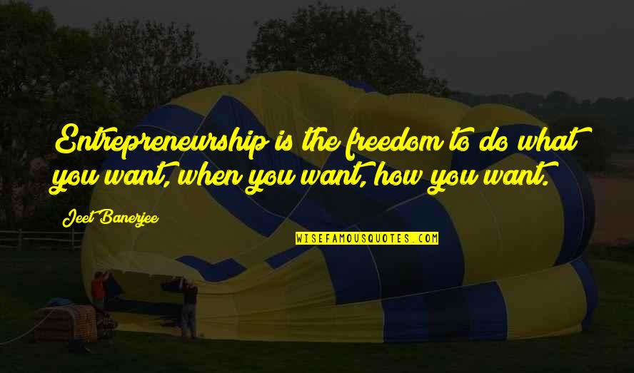 Do You Want To Quotes By Jeet Banerjee: Entrepreneurship is the freedom to do what you