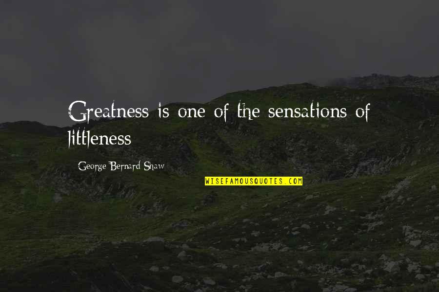Doadam Quotes By George Bernard Shaw: Greatness is one of the sensations of littleness