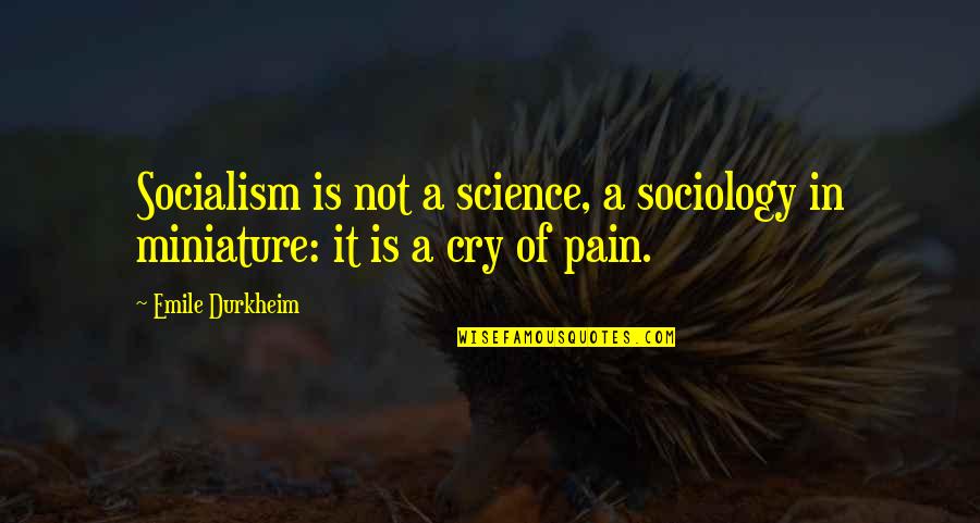 Dobbelsteen Quotes By Emile Durkheim: Socialism is not a science, a sociology in