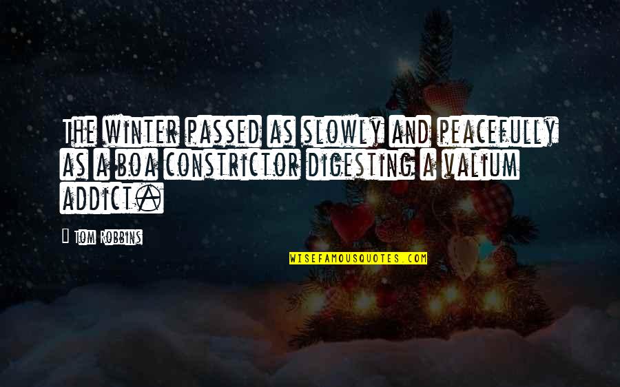 Dobby Lord Of The Rings Quotes By Tom Robbins: The winter passed as slowly and peacefully as Dobby Lord Of The Rings Quotes By Tom Robbins: The winter passed as slowly and peacefully as