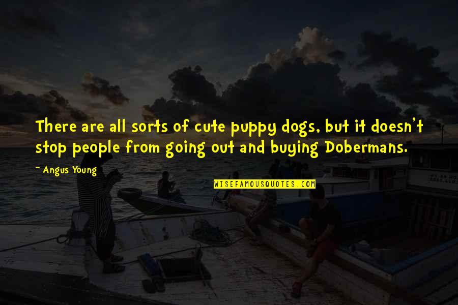 Dobermans Quotes By Angus Young: There are all sorts of cute puppy dogs,
