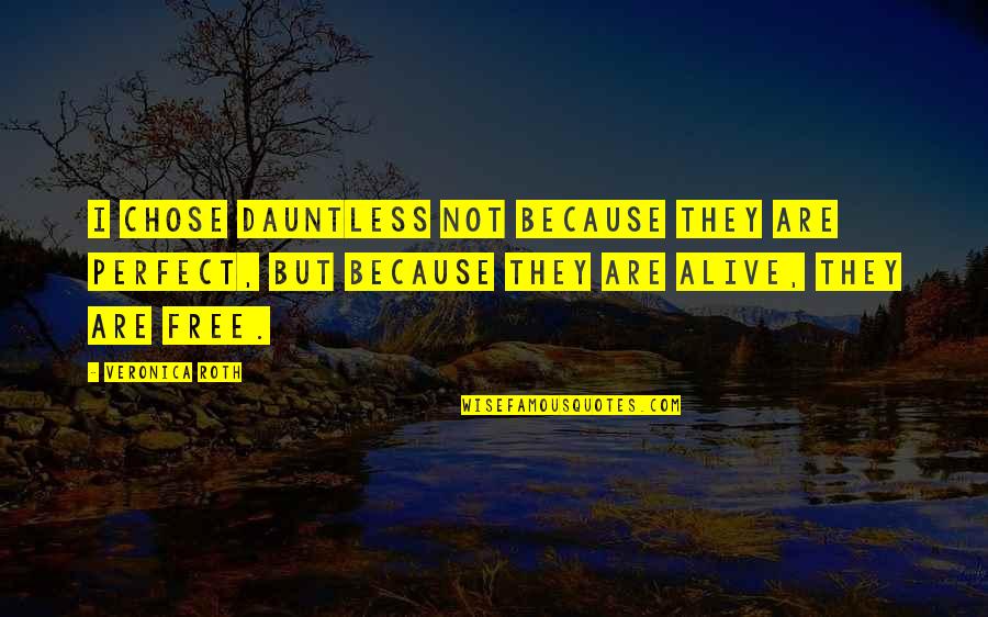 Dobi Sro Quotes By Veronica Roth: I chose Dauntless not because they are perfect,