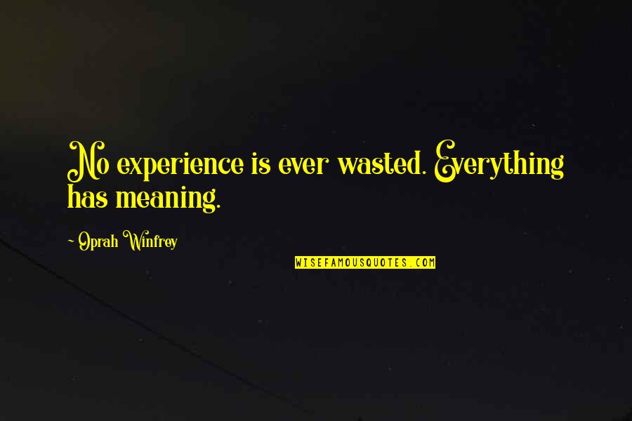 Doblast Quotes By Oprah Winfrey: No experience is ever wasted. Everything has meaning.