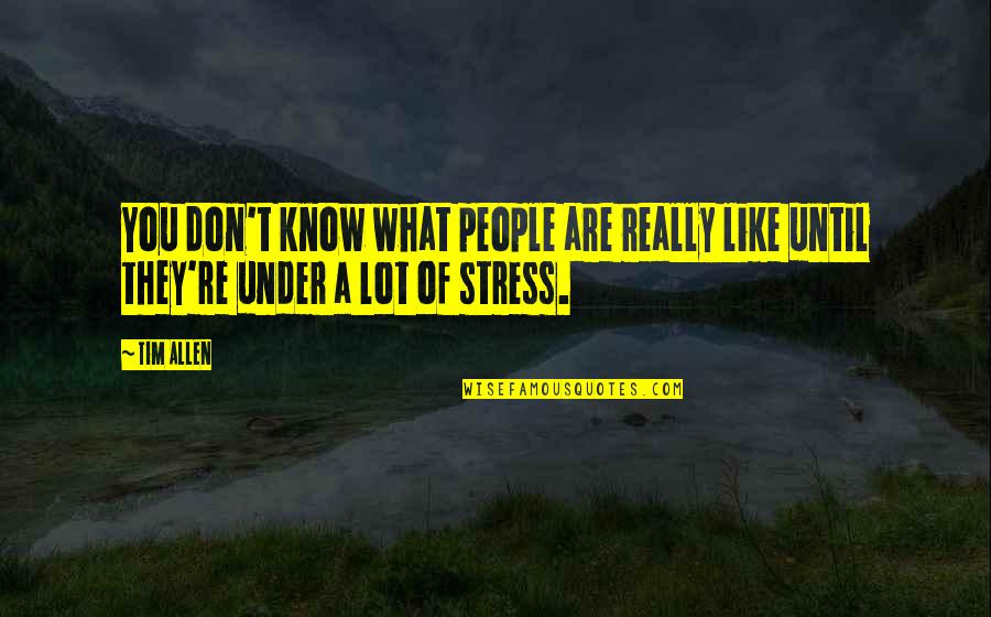 Dobrescu Viorica Quotes By Tim Allen: You don't know what people are really like
