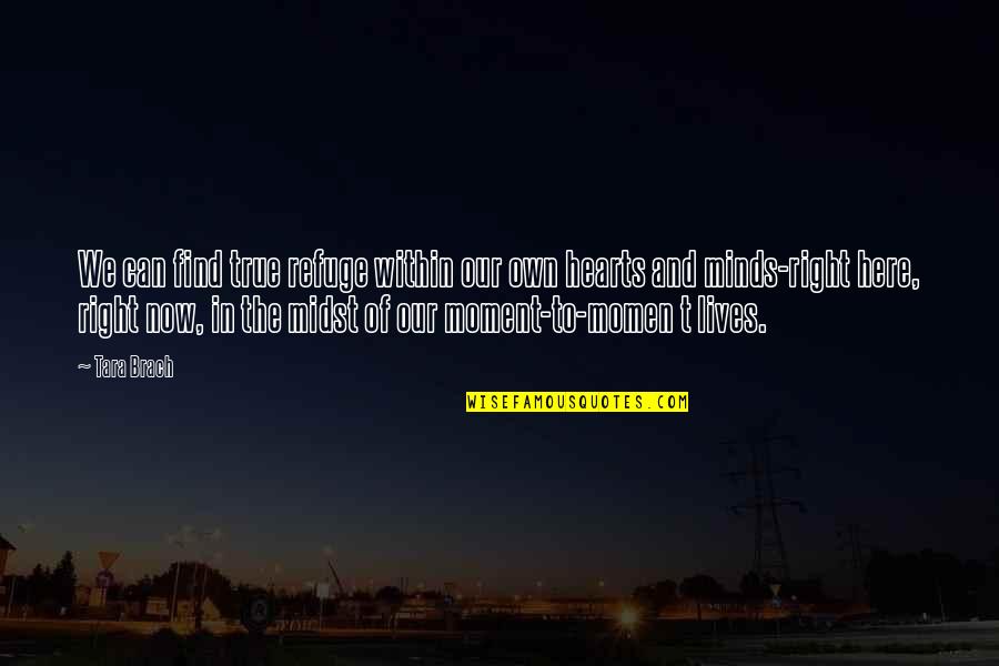 Dobrota Quotes By Tara Brach: We can find true refuge within our own Dobrota Quotes By Tara Brach: We can find true refuge within our own