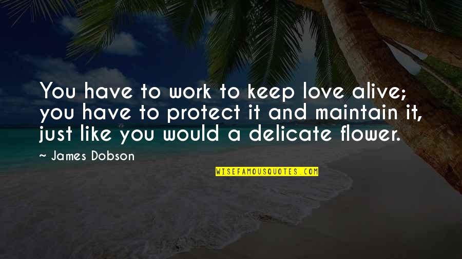Dobson Quotes By James Dobson: You have to work to keep love alive;