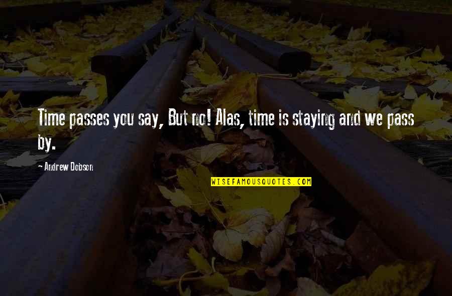 Dobson's Quotes By Andrew Dobson: Time passes you say, But no! Alas, time