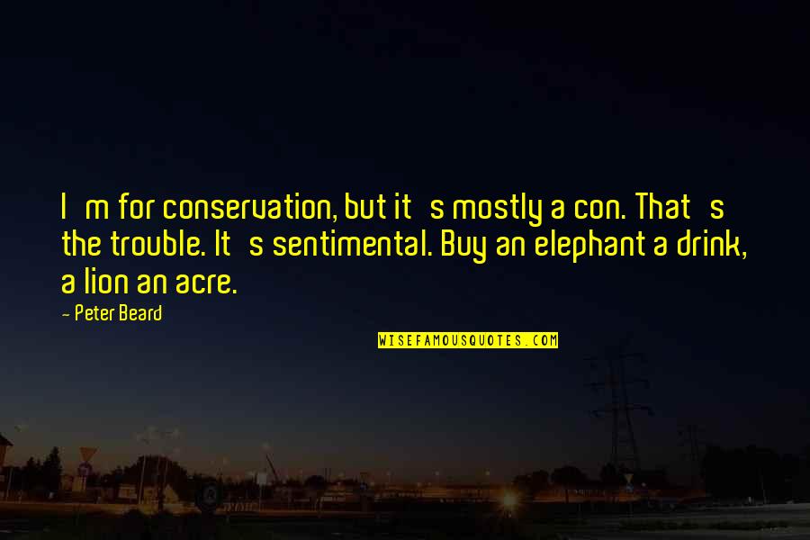 Docent Quotes By Peter Beard: I'm for conservation, but it's mostly a con.