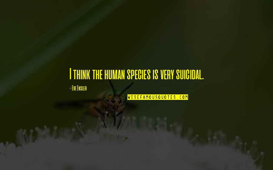 Docfcu Quotes By Eve Ensler: I think the human species is very suicidal. Docfcu Quotes By Eve Ensler: I think the human species is very suicidal.