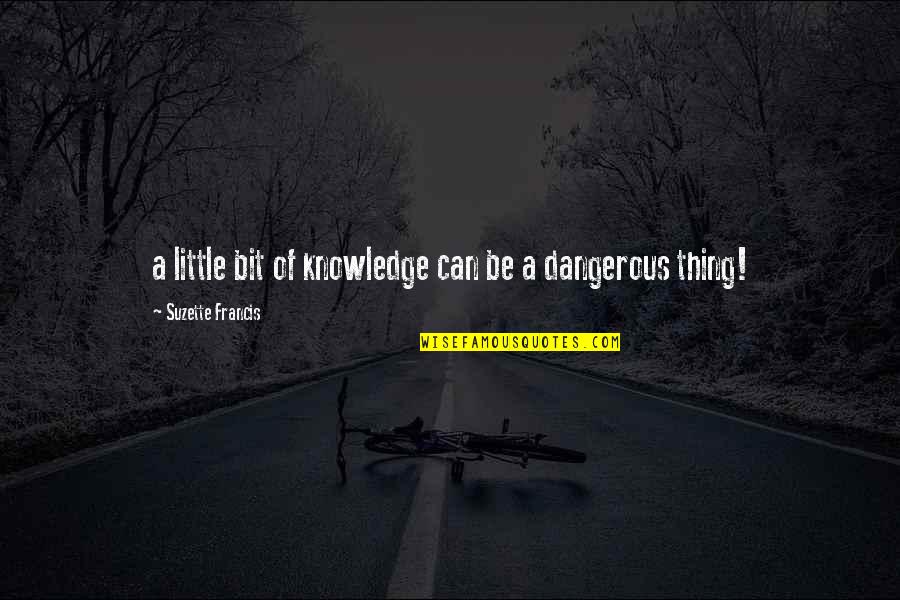 Dochter Moeder Quotes By Suzette Francis: a little bit of knowledge can be a