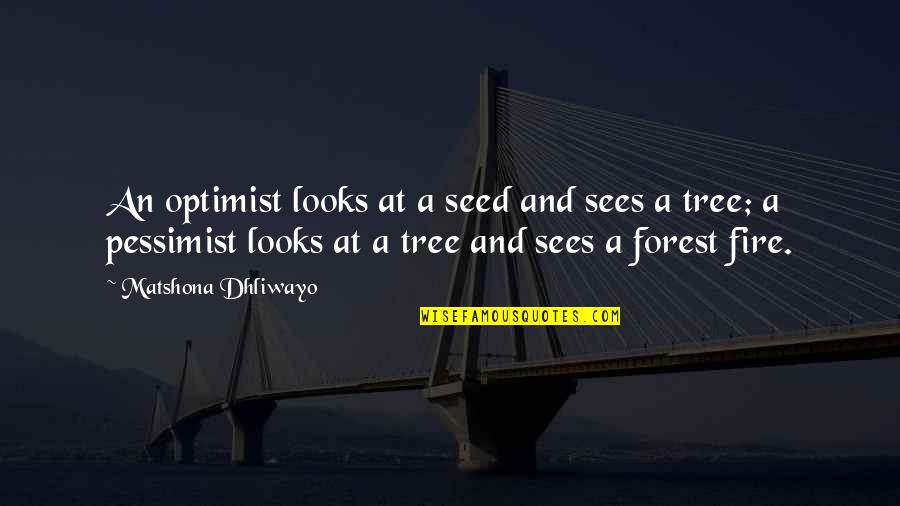 Dociousaliexpilisticfragicalirupus Quotes By Matshona Dhliwayo: An optimist looks at a seed and sees