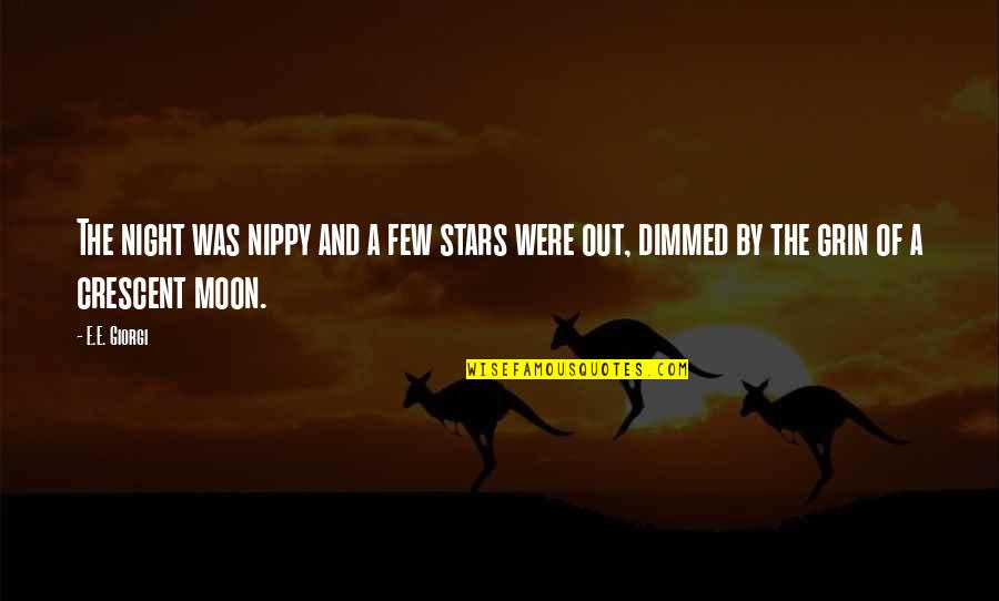 Docketed At 18 2351 Quotes By E.E. Giorgi: The night was nippy and a few stars